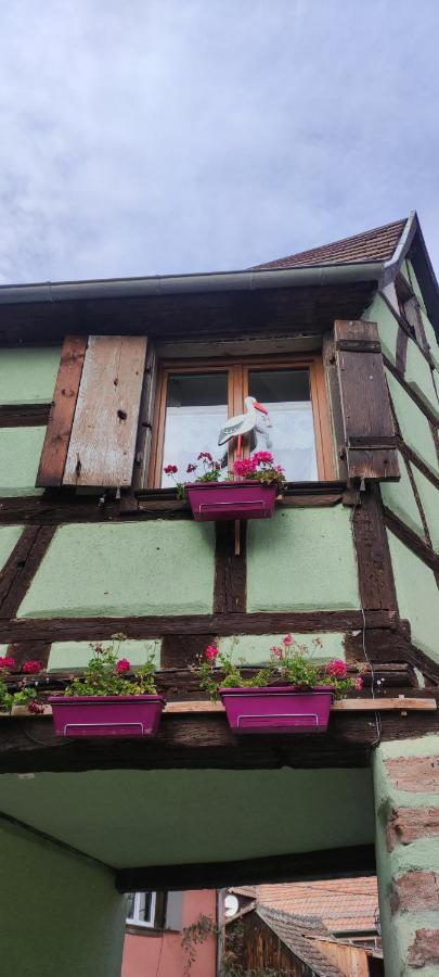 Gite Chez "Mamie Schlop" 키엔츠하임 외부 사진