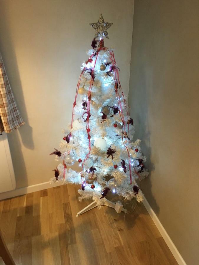 Gite Chez "Mamie Schlop" 키엔츠하임 외부 사진